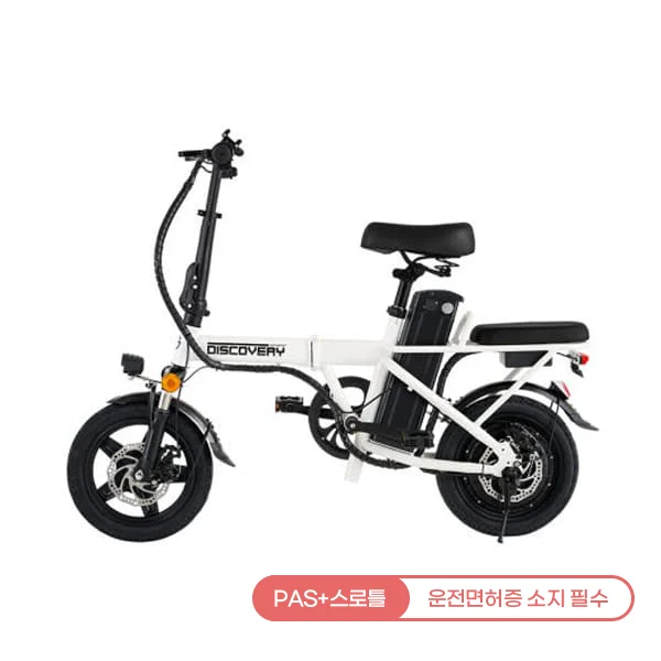 [레이윙] 디스커버리 F14E 전기자전거 18A (세이지그린)
